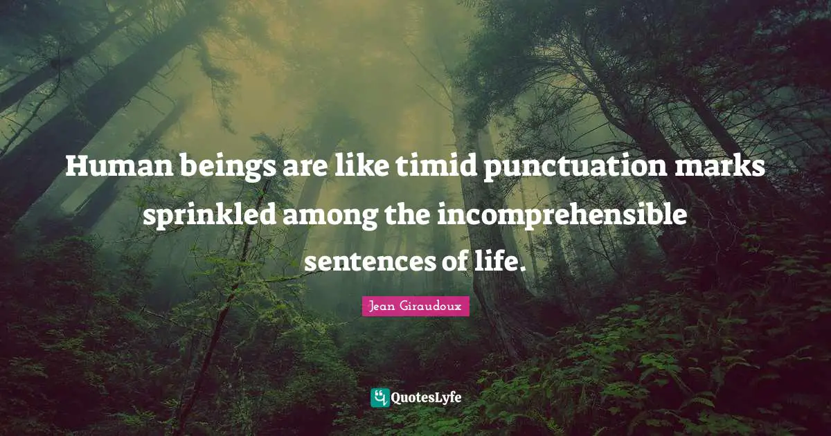 Human beings are like timid punctuation marks sprinkled among the incomprehensible sentences of life.