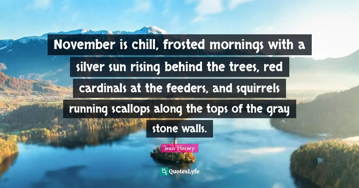 November Quotes: "November is chill, frosted mornings with a silver sun rising behind the trees, red cardinals at the feeders, and squirrels running scallops along the tops of the gray stone walls."
