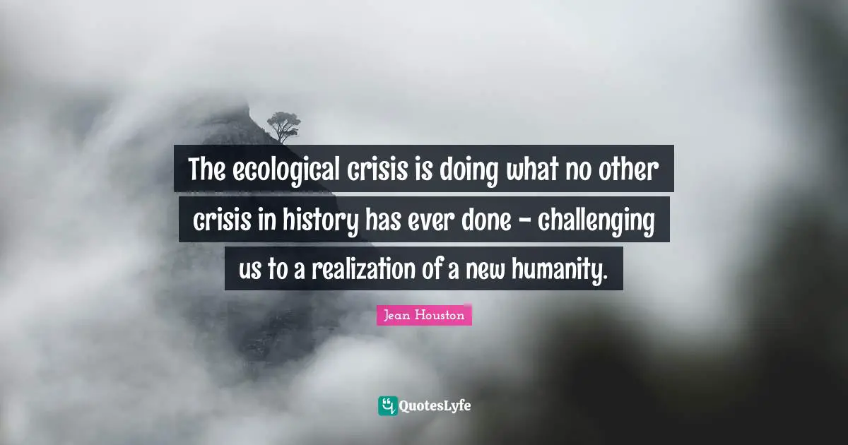 The ecological crisis is doing what no other crisis in history has ever done - challenging us to a realization of a new humanity.