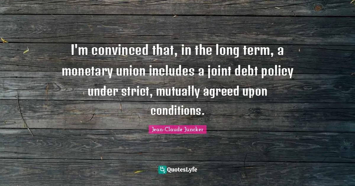 I'm convinced that, in the long term, a monetary union includes a joint debt policy under strict, mutually agreed upon conditions.