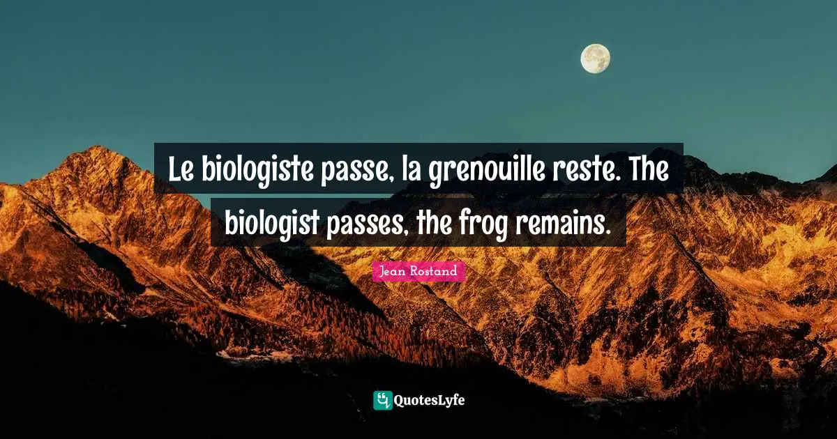 Le biologiste passe, la grenouille reste. The biologist passes, the frog remains.