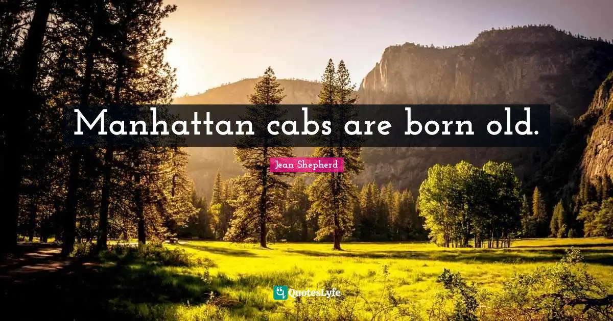 Manhattan cabs are born old.