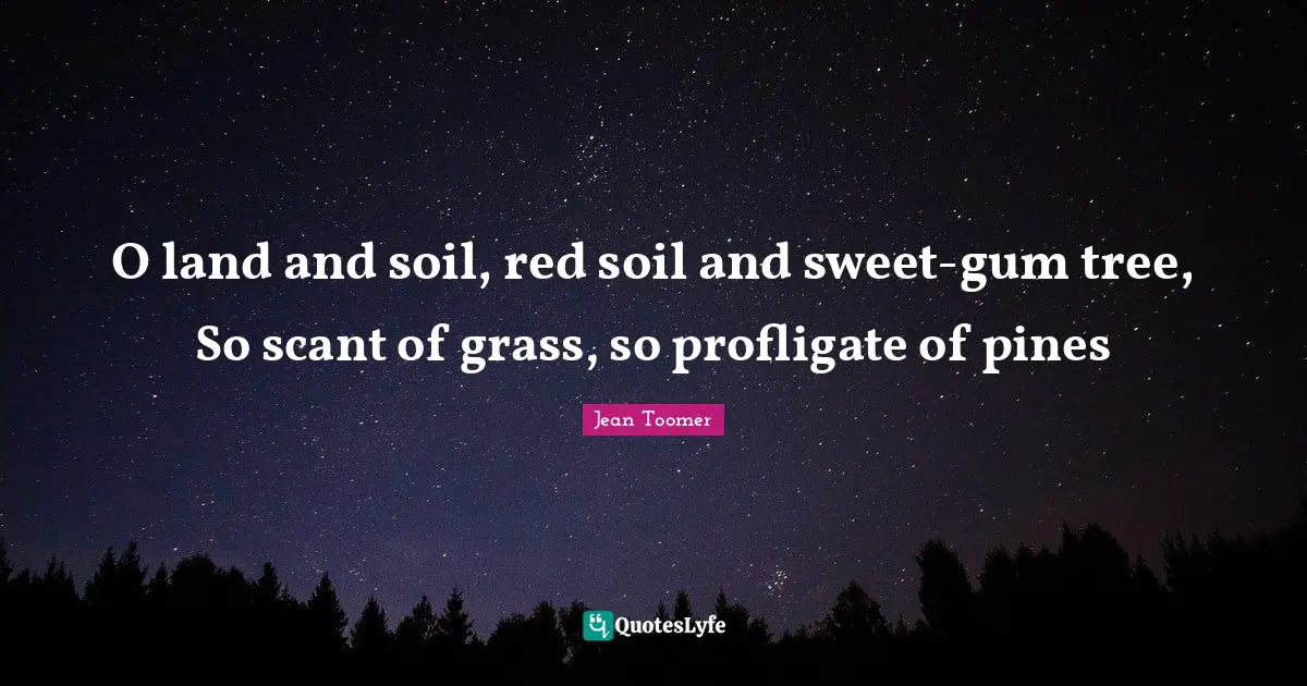 Jean Toomer Quotes: "O land and soil, red soil and sweet-gum tree, So scant of grass, so profligate of pines"