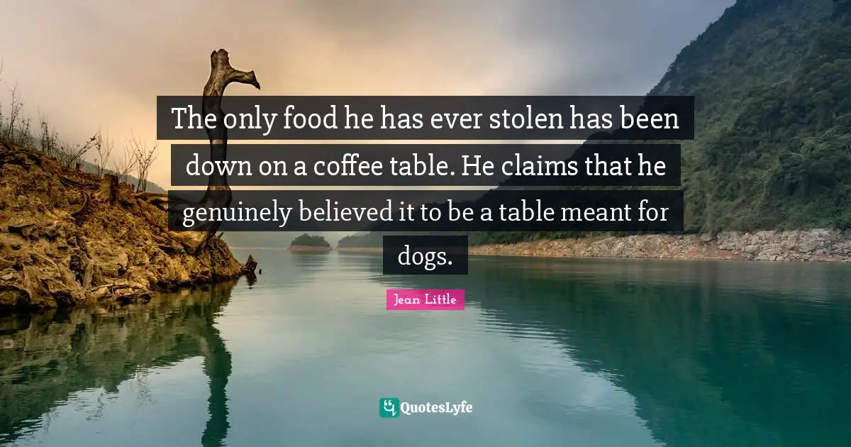 The only food he has ever stolen has been down on a coffee table. He claims that he genuinely believed it to be a table meant for dogs.