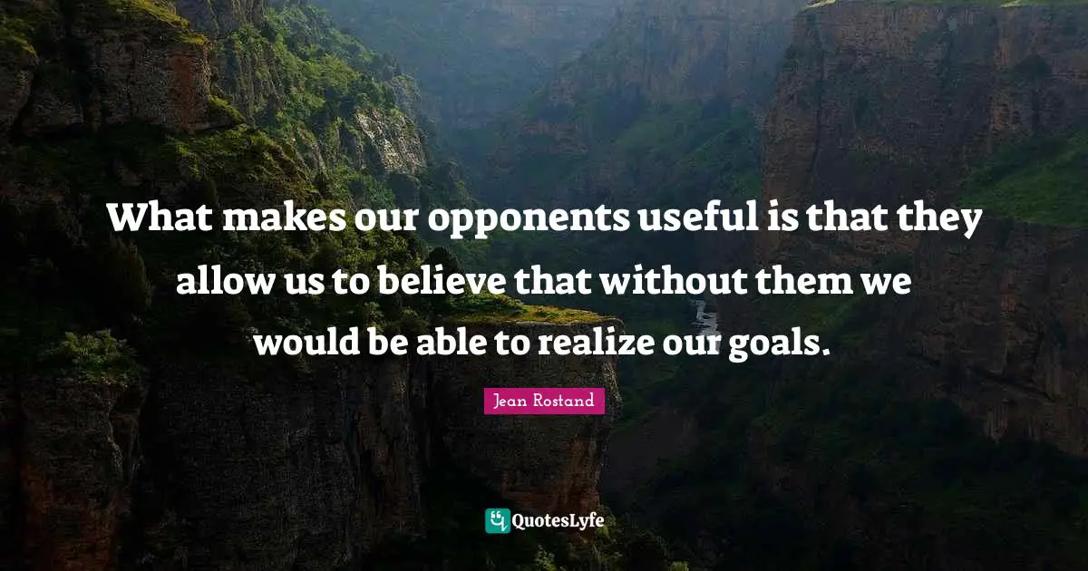 What makes our opponents useful is that they allow us to believe that without them we would be able to realize our goals.
