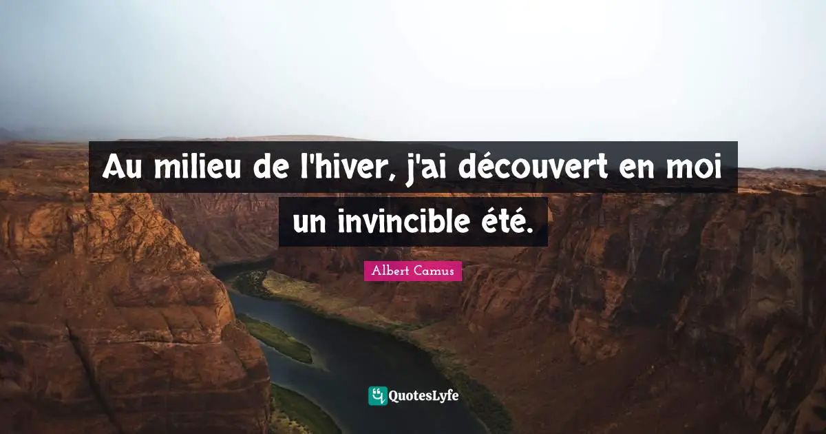 Au milieu de l'hiver, j'ai découvert en moi un invincible été.
