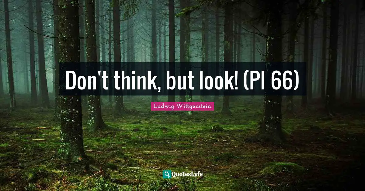 Don't think, but look! (PI 66)