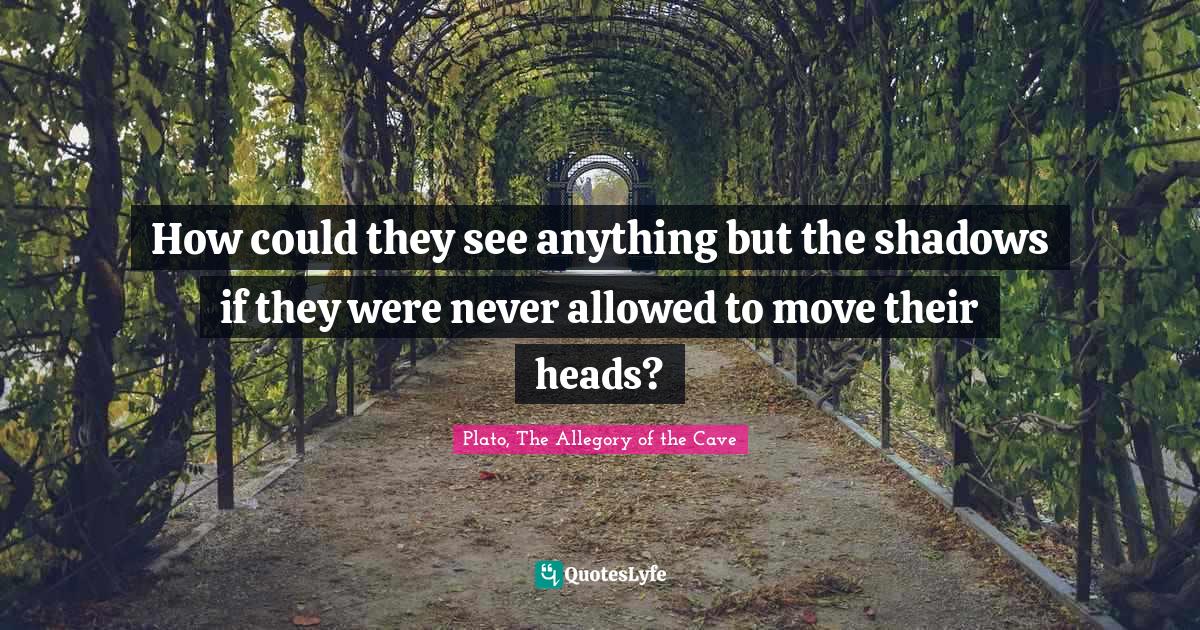 How could they see anything but the shadows if they were never allowed