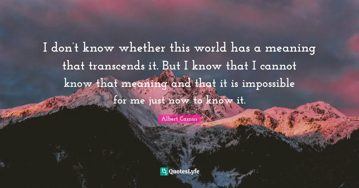 I don’t know whether this world has a meaning that transcends it. But I know that I cannot know that meaning and that it is impossible for me just now to know it.