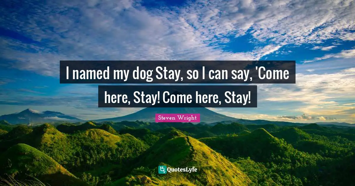 I named my dog Stay, so I can say, 'Come here, Stay! Come here, Stay!