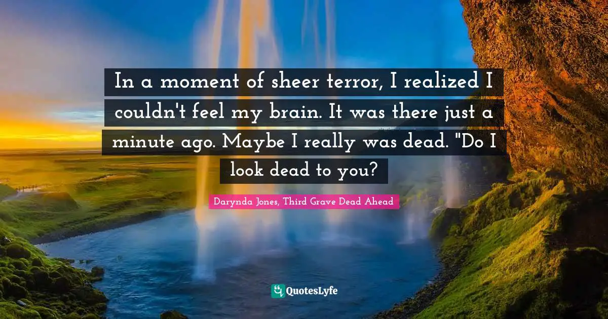 In a moment of sheer terror, I realized I couldn't feel my brain. It was there just a minute ago. Maybe I really was dead. "Do I look dead to you?