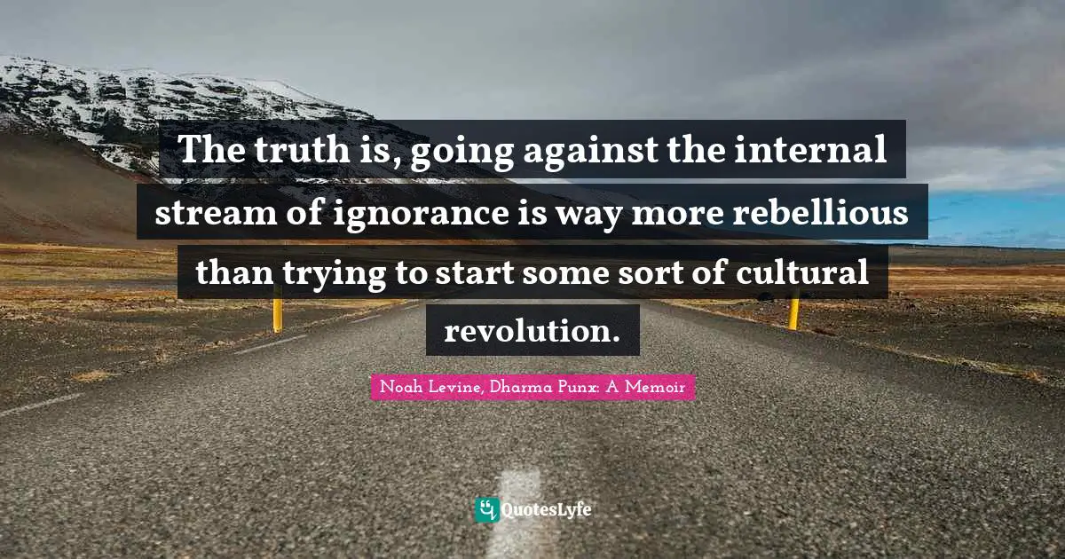 The truth is, going against the internal stream of ignorance is way more rebellious than trying to start some sort of cultural revolution.