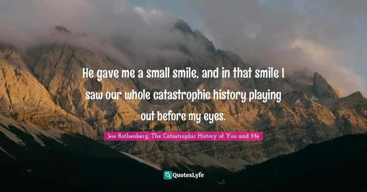 Jess Rothenberg Quotes: "He gave me a small smile, and in that smile I saw our whole catastrophic history playing out before my eyes."
