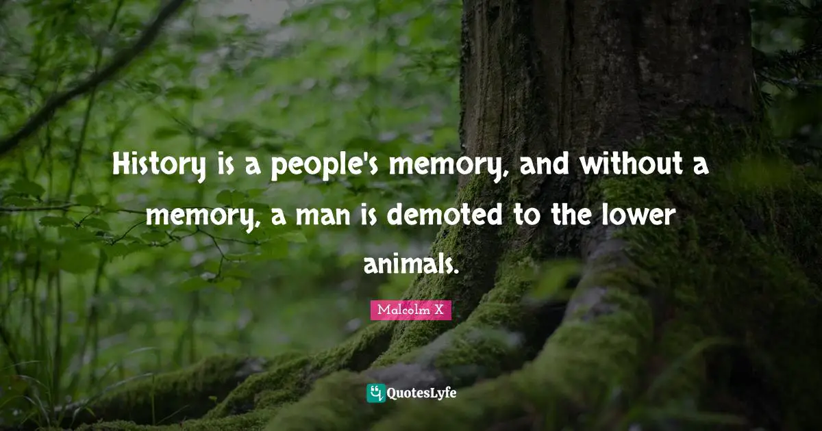 History is a people's memory, and without a memory, a man is demoted to the lower animals.