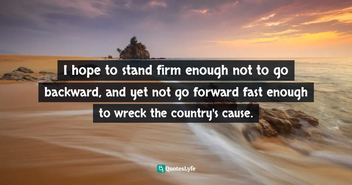 I hope to stand firm enough not to go backward, and yet not go forward fast enough to wreck the country's cause.