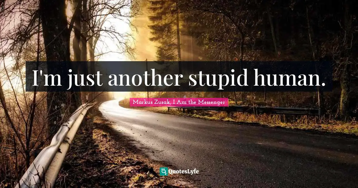 I'm just another stupid human.