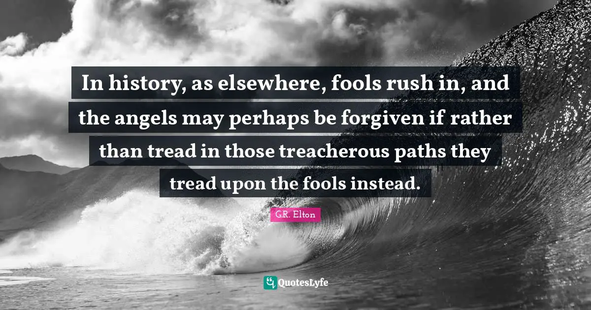 In history, as elsewhere, fools rush in, and the angels may perhaps be forgiven if rather than tread in those treacherous paths they tread upon the fools instead.