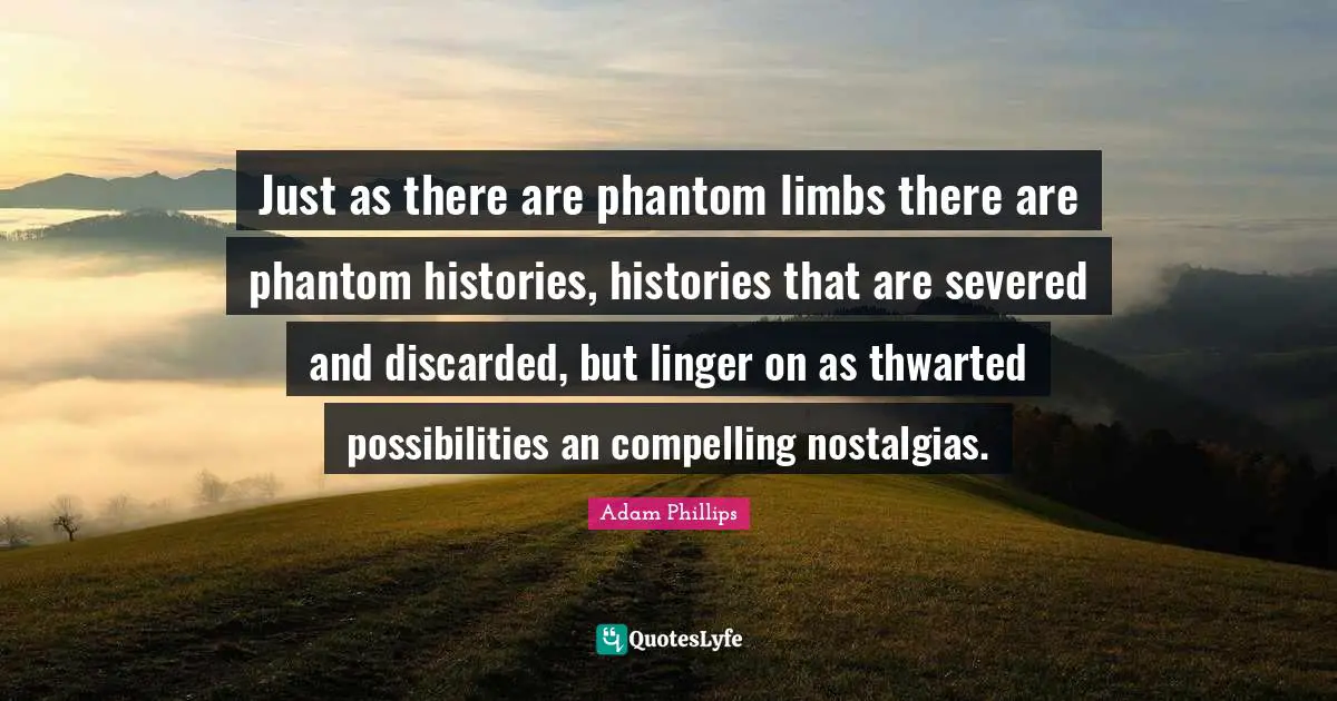 Just as there are phantom limbs there are phantom histories, histories that are severed and discarded, but linger on as thwarted possibilities an compelling nostalgias.