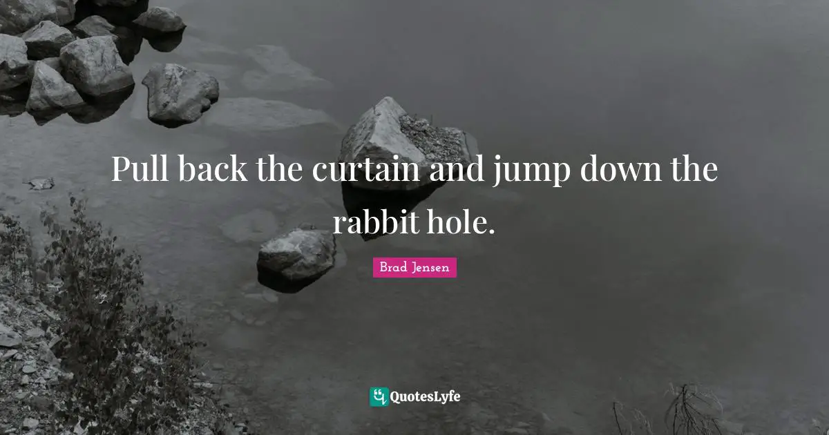 Brad Jensen Quotes: Pull back the curtain and jump down the rabbit hole.