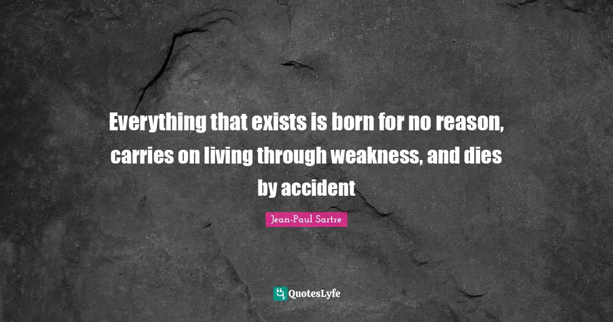 Everything that exists is born for no reason, carries on living through weakness, and dies by accident