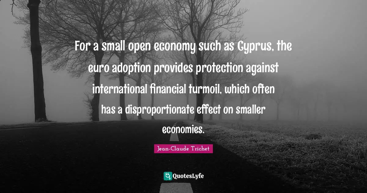 For a small open economy such as Cyprus, the euro adoption provides protection against international financial turmoil, which often has a disproportionate effect on smaller economies.