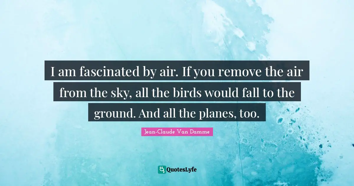 I am fascinated by air. If you remove the air from the sky, all the birds would fall to the ground. And all the planes, too.