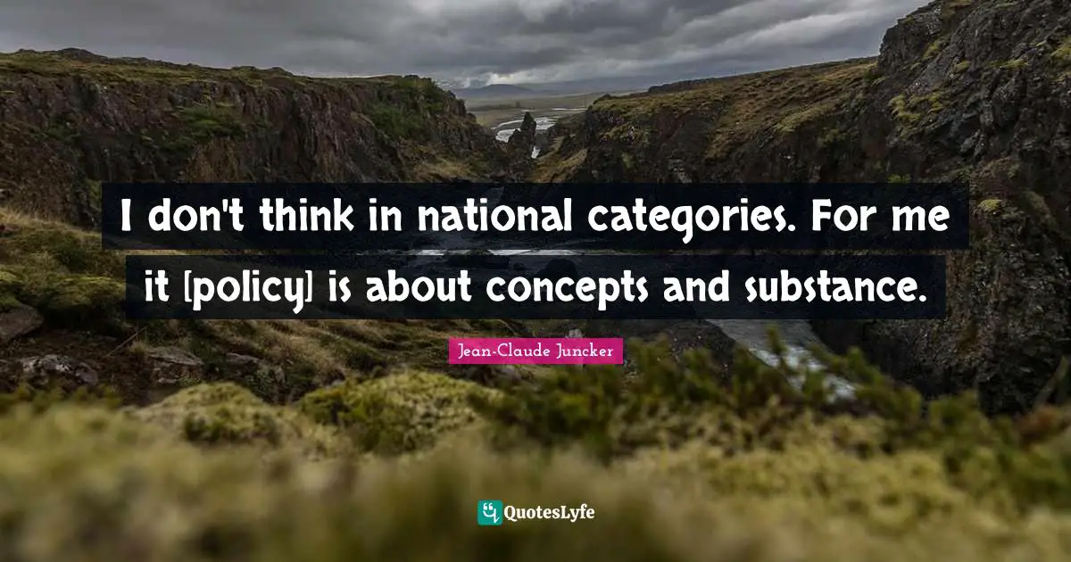 I don't think in national categories. For me it [policy] is about concepts and substance.