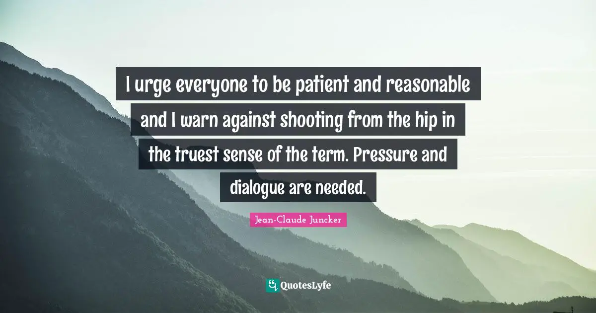 I urge everyone to be patient and reasonable and I warn against shooting from the hip in the truest sense of the term. Pressure and dialogue are needed.
