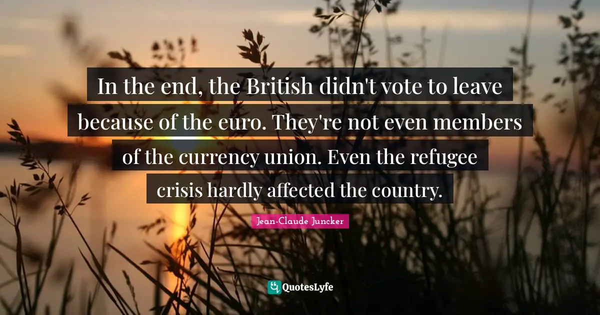 In the end, the British didn't vote to leave because of the euro. They're not even members of the currency union. Even the refugee crisis hardly affected the country.