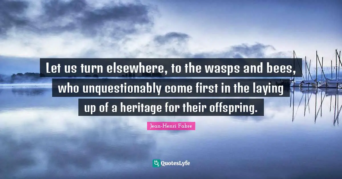 Let us turn elsewhere, to the wasps and bees, who unquestionably come first in the laying up of a heritage for their offspring.