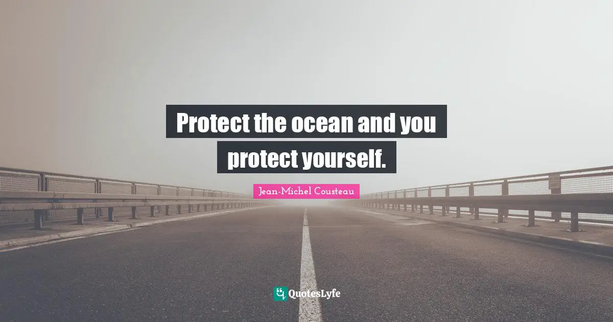 Protect Yourself Quotes: "Protect the ocean and you protect yourself."