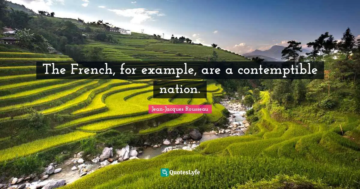 The French, for example, are a contemptible nation.