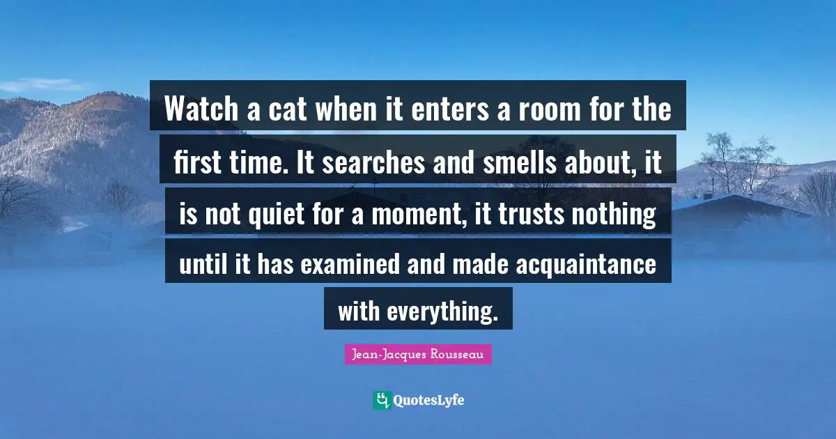 Watch a cat when it enters a room for the first time. It searches and smells about, it is not quiet for a moment, it trusts nothing until it has examined and made acquaintance with everything.