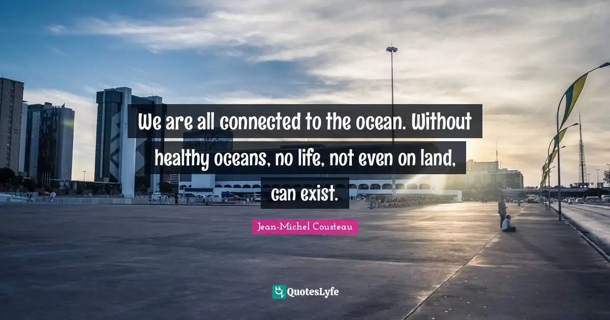 We are all connected to the ocean. Without healthy oceans, no life, not even on land, can exist.