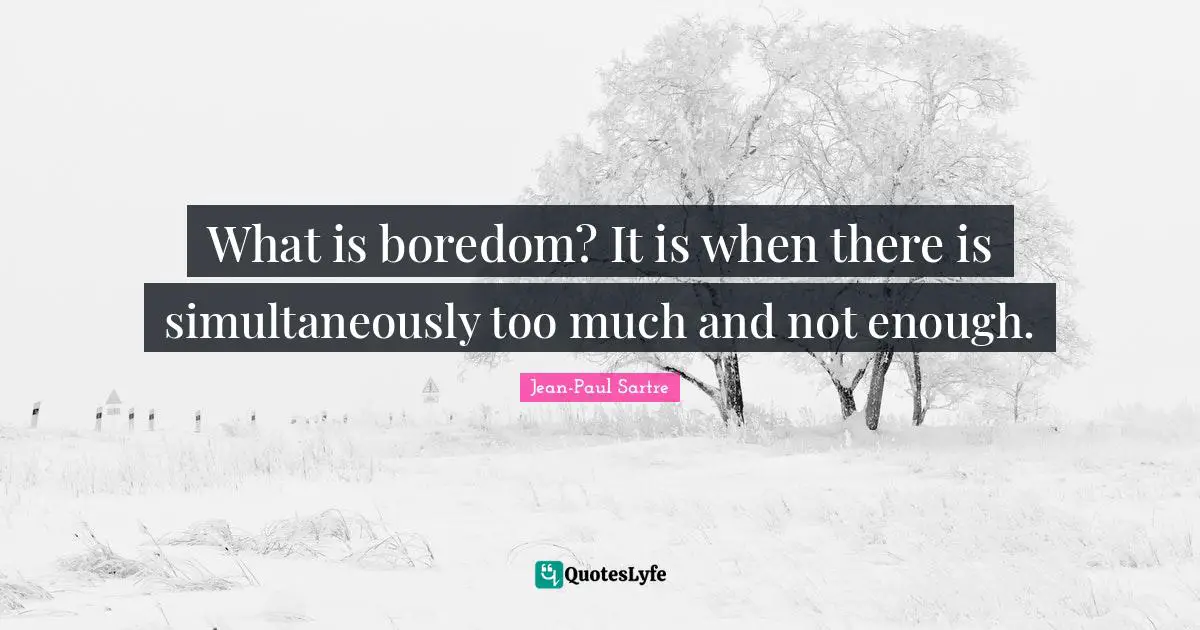 What is boredom? It is when there is simultaneously too much and not enough.