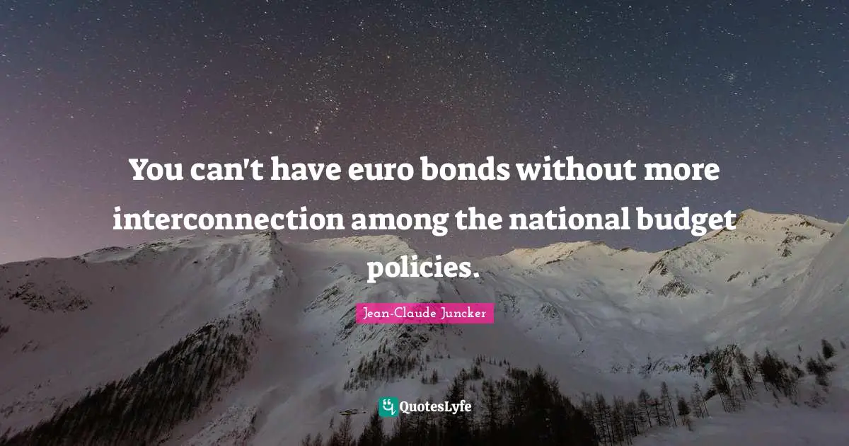 You can't have euro bonds without more interconnection among the national budget policies.