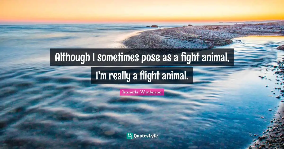 Although I sometimes pose as a fight animal, I'm really a flight animal.