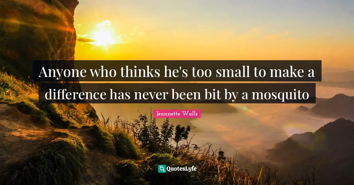 Anyone who thinks he's too small to make a difference has never been bit by a mosquito
