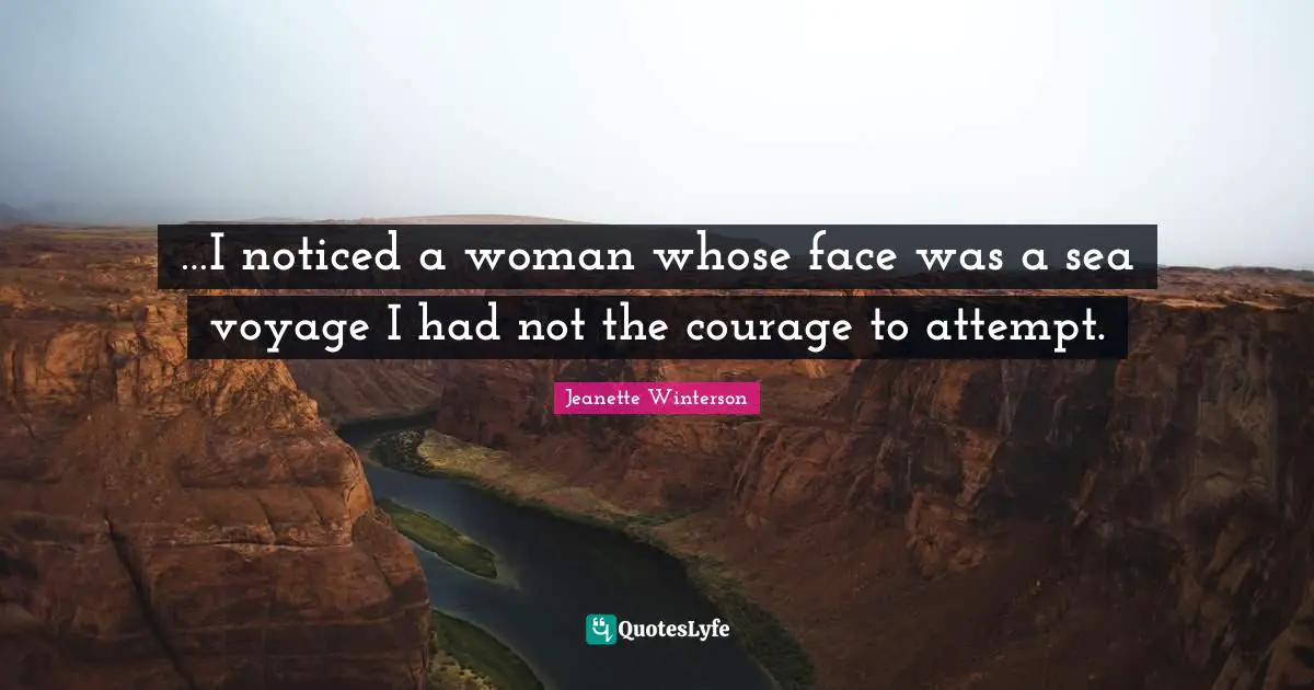 …I noticed a woman whose face was a sea voyage I had not the courage to attempt.