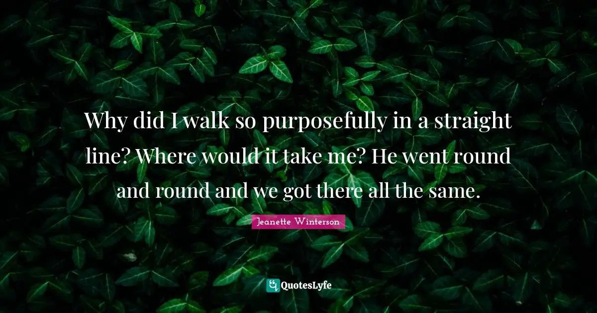 Why did I walk so purposefully in a straight line? Where would it take me? He went round and round and we got there all the same.