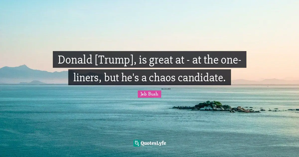 Donald [Trump], is great at - at the one-liners, but he's a chaos candidate.