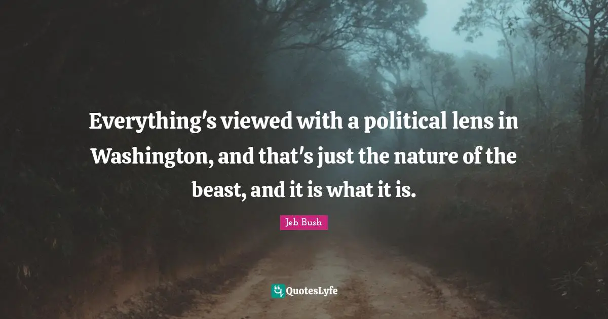 Everything's viewed with a political lens in Washington, and that's just the nature of the beast, and it is what it is.