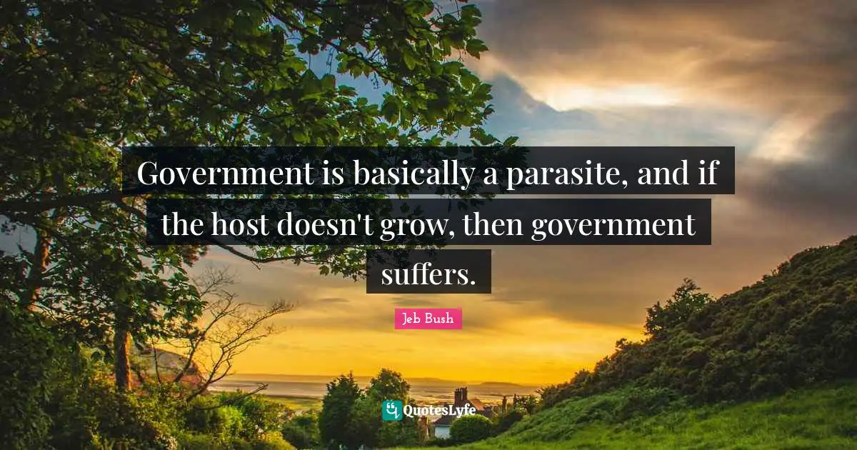 Government is basically a parasite, and if the host doesn't grow, then government suffers.