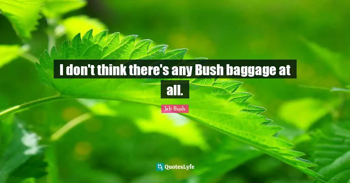 I don't think there's any Bush baggage at all.