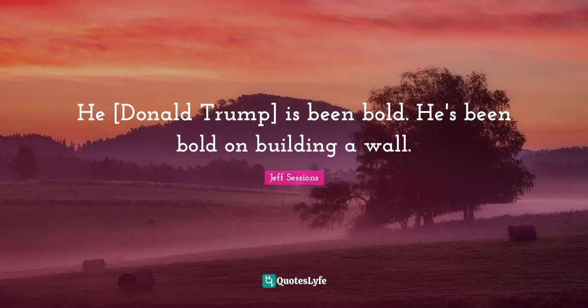 He [Donald Trump] is been bold. He's been bold on building a wall.