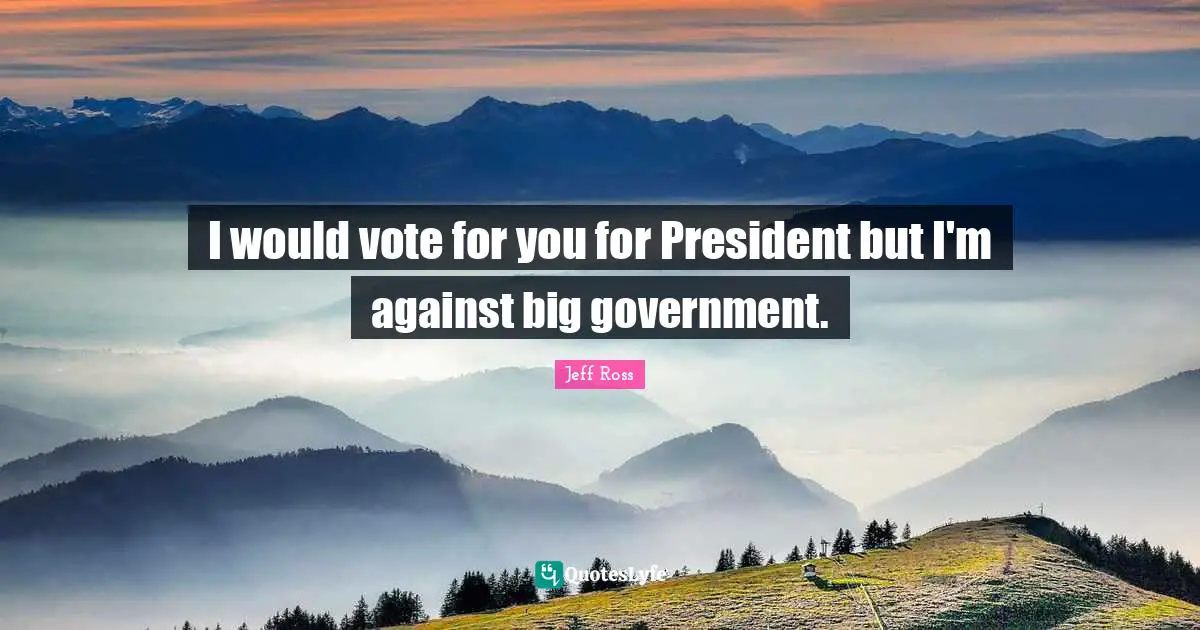 I would vote for you for President but I'm against big government.