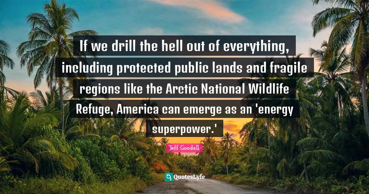 If we drill the hell out of everything, including protected public lands and fragile regions like the Arctic National Wildlife Refuge, America can emerge as an 'energy superpower.'