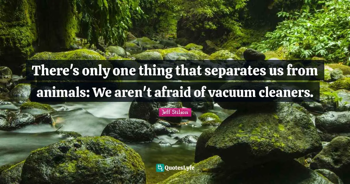 There's only one thing that separates us from animals: We aren't afraid of vacuum cleaners.