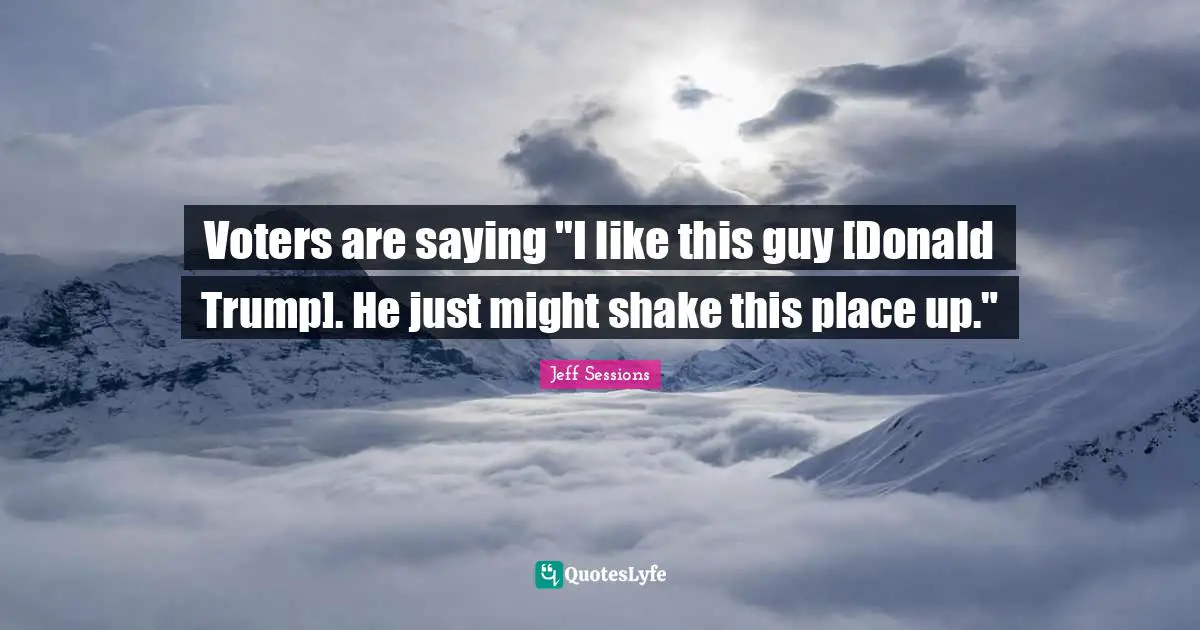 Voters are saying "I like this guy [Donald Trump]. He just might shake this place up."