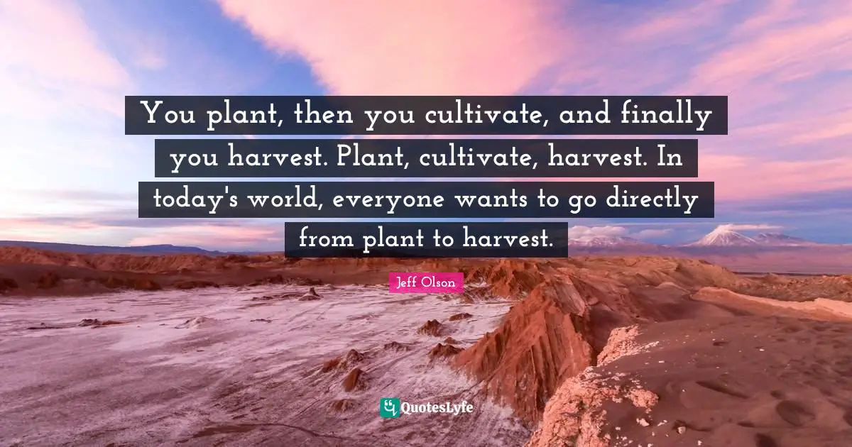 Jeff Olson Quotes: "You plant, then you cultivate, and finally you harvest. Plant, cultivate, harvest. In today's world, everyone wants to go directly from plant to harvest."